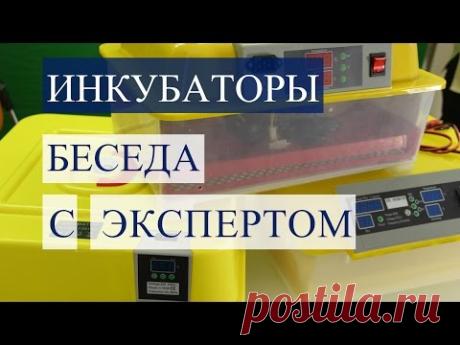 Инкубаторы. Обзор инкубаторов. Беседа с экспертом.