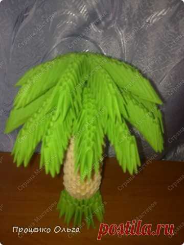 Оригами из бумаги схемы пальма видио