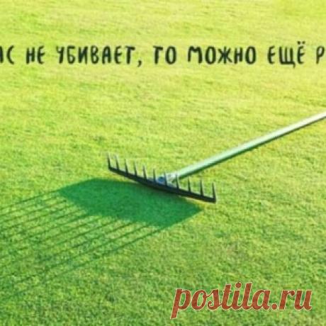 Возможно вы ещё не слышали: 20 современных поговорок - МирТесен