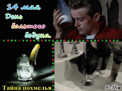 С 14 мая! Желаю, чтобы бодун был маленьким, а утро — добрым. Пусть похмелье проходит быстро! Открытки на День большого бодуна!