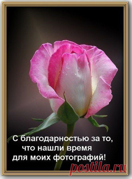 Мои новости