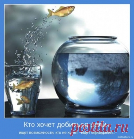 Возможности и оправдания