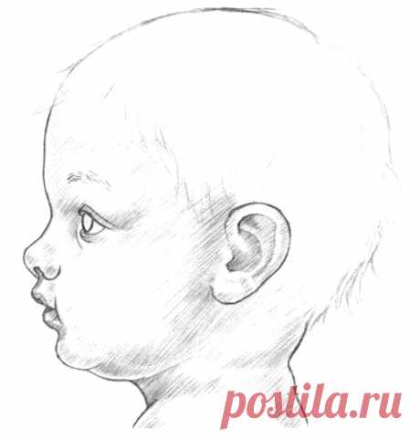 Рисуем лицо младенца: пошаговый урок