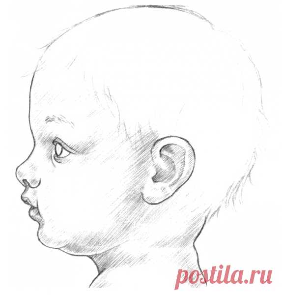 Рисуем лицо младенца: пошаговый урок