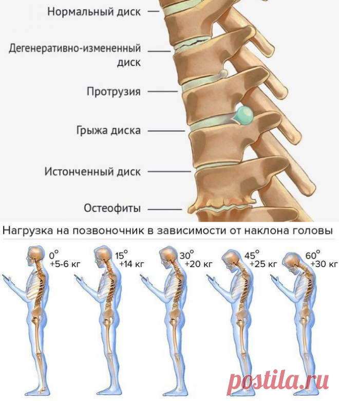Гибкость и благополучие позвоночника! Гимнастика Мирзакарима Норбекова | Всегда в форме!