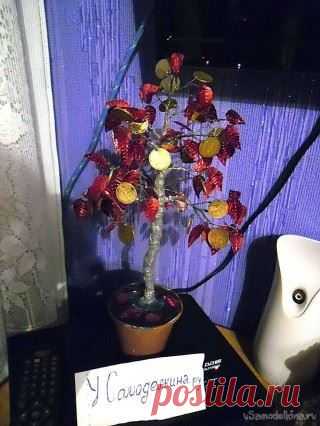 Топиарий своими руками - декоративные деревья из кофе, сизаля и искусственных цветов