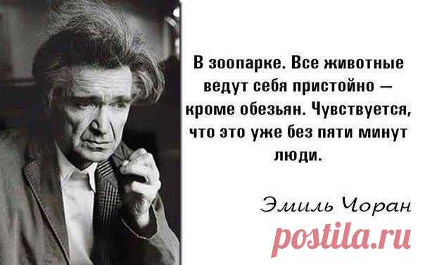 Dmitry Gudkov - Ждете ли вы экономического кризиса?...