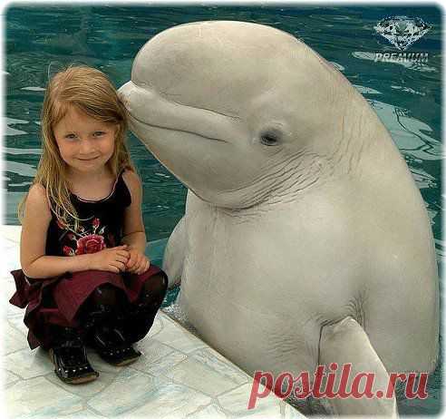 заигрывание