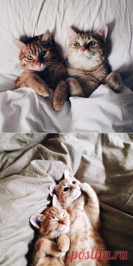 Мамины советы: здоровье, красота, рецепты блюд | ВКонтакте