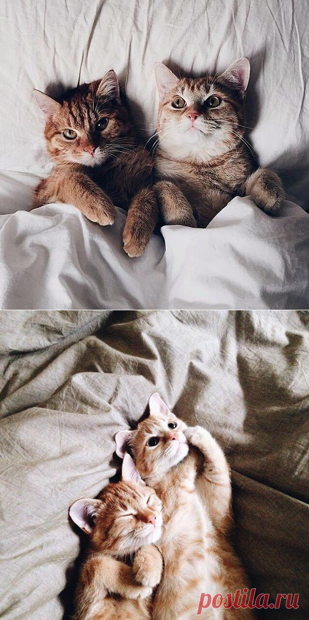 Мамины советы: здоровье, красота, рецепты блюд | ВКонтакте