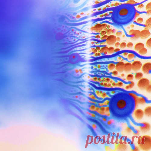 DownloadJoris Voorn - Tomorrow (Sultan + Shepard Remix) - Melodic House & Techno - MusicVibez DownloadJoris Voorn - Tomorrow (Sultan + Shepard Remix) в FLAC/320kbps на MusicVibez — Melodic House & Techno Release: Tracklist, Label download . - Musicvibez