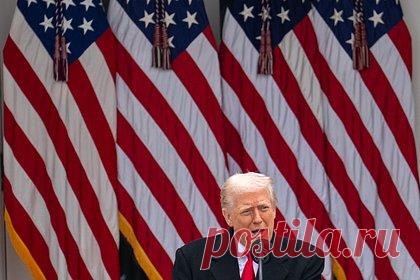 Трамп назвал животным стрелявшего в нацгвардейцев у Белого дома