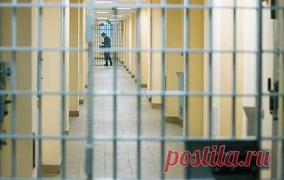 Суд продлил арест обвиняемому в хищении денег при реставрации Соловков. Сергей Волков останется под стражей до 17 января 2025 года