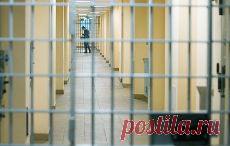Суд продлил арест обвиняемому в хищении денег при реставрации Соловков. Сергей Волков останется под стражей до 17 января 2025 года