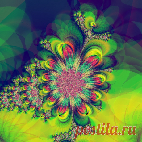 Фрактал, сделан в программе Fractal Explorer