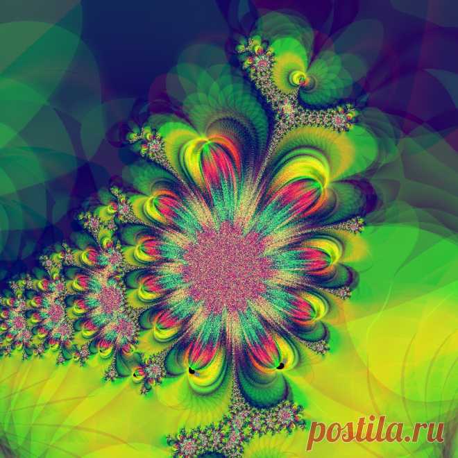 Фрактал, сделан в программе Fractal Explorer