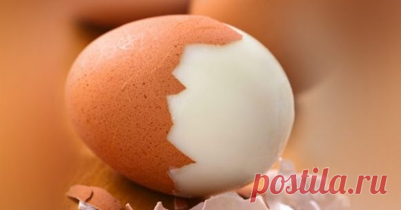 Я тебе не пара: с чем нельзя сочетать яйца. Так вот откуда тяжесть в желудке! — Копилочка полезных советов