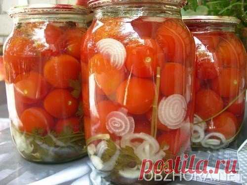 Валентина Алексушина