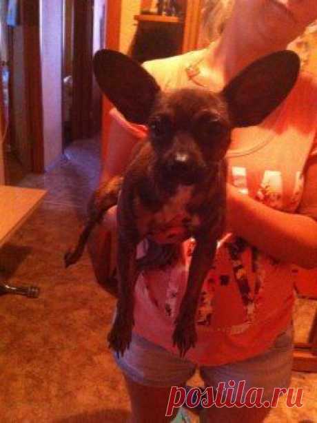 (82) Одноклассники