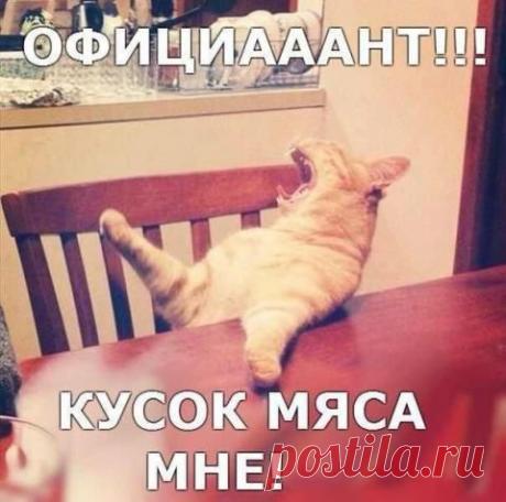 Главное - не перепутать! | Prikolisti.com