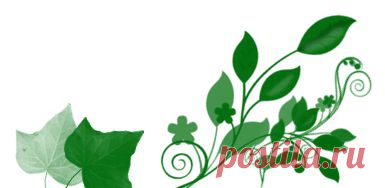 Рубец с овощами