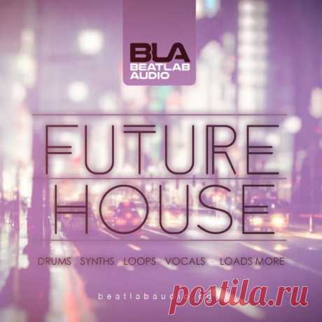 Beatlab Audio Future House WAV MiDi  | 104MB
Beatlab Audio proudly presents. Future House Sample Pack. Filled to the brim with contagious goodness, everything needed to take your Future House productions up a gear is right here!

Download at:

https://audioclub.store/uncategorized/beatlab-audio-future-house-wav-midi/