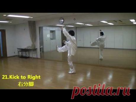 42-forms Tai Chi Chuan  Back view right, left 【mirror】