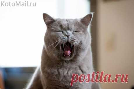 Доброе утро! Вот и я проснулся...
