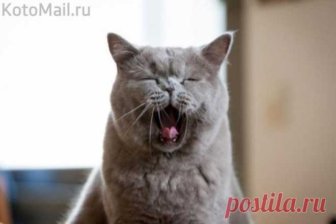 Доброе утро! Вот и я проснулся...