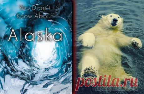 Познавательные факты об Аляске, которые вам наверняка будет интересно узнать Аляска — штат крайностей. Думая об Аляске, вы, вероятно, сразу вспоминаете о снеге и собаках хаски, но Аляска намного больше, чем это. Аляска скрывает тайны о которых сегодня мы Вам и раскажем. В этом...