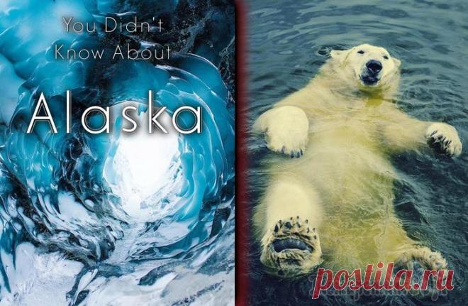 Познавательные факты об Аляске, которые вам наверняка будет интересно узнать Аляска — штат крайностей. Думая об Аляске, вы, вероятно, сразу вспоминаете о снеге и собаках хаски, но Аляска намного больше, чем это. Аляска скрывает тайны о которых сегодня мы Вам и раскажем. В этом...