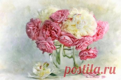 Художница LIZZY PE
#картинки_художников@olinsadecupage