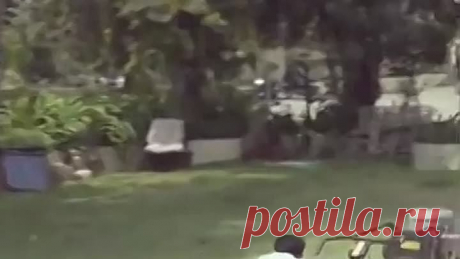 Что-то пошло не так...