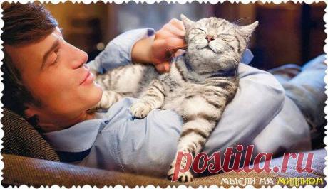 Кто не может взять лаской, тот не возьмет и строгостью.

© Антон Павлович Чехов