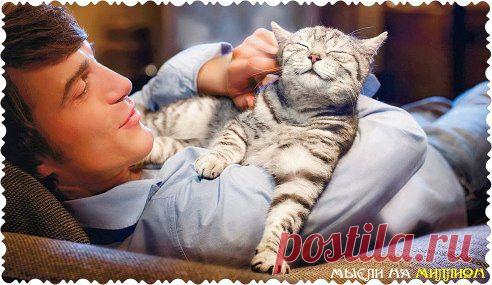 Кто не может взять лаской, тот не возьмет и строгостью.

© Антон Павлович Чехов