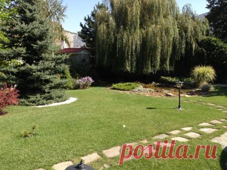 Наши работы — Landscape.kz, ландшафтный дизайн в Алматы,садовник в Алматы, альпийские горки, водоемы в Алматы, пруды в Алматы, газоны в Алматы, водопады в Алматы, поливочная система в Алматы, ландшафтное проектирование в Алматы, сады на крыше в Алматы, новогоднее оформление в Алматы, хвойные лиственные крупномеры в Алматы.