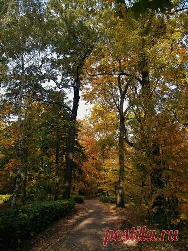 Яндекс.Коллекции