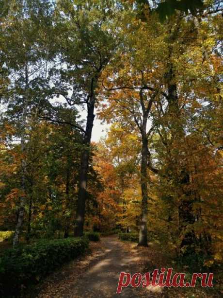 Яндекс.Коллекции