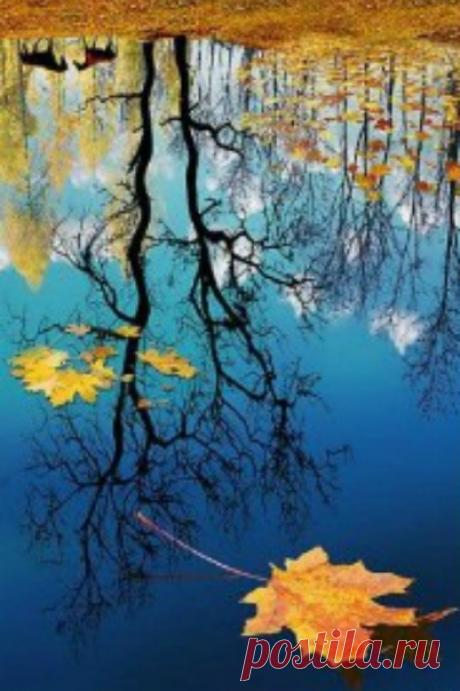 Закончив день, забудьте о нём. Всё, что вы могли - вы сделали.
Уолдо Эмерсон