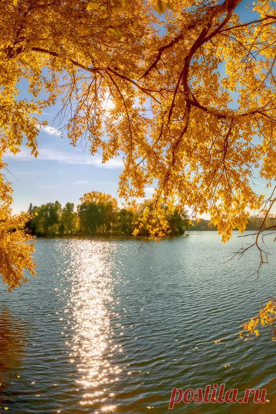 Пользователь Terry kinch сохранил этот пин на доску «Nature»   |   Pinterest