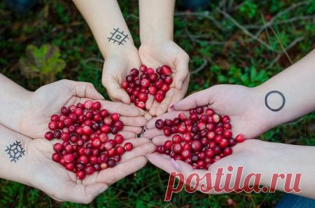 7 ПРОДУКТОВ, КОТОРЫЕ ОЧИЩАЮТ ОРГАНИЗМ ЛУЧШЕ ЛЮБЫХ ЛЕКАРСТВ — Домашние заботы