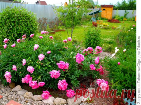 Благоустройство дачного участка своими руками. Фотоотчет