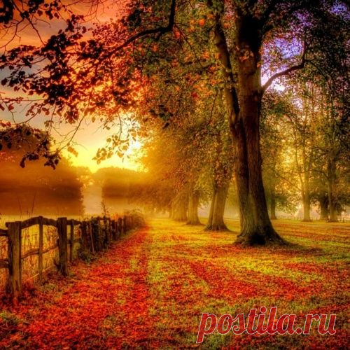 Полезные советы для красивых и качественных осенних фотографий
