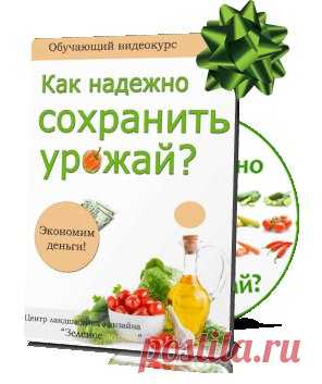 КАК СОЗДАТЬ САД СВОЕЙ МЕЧТЫ НАЧИНАЮЩИМ ДАЧНИКАМ?