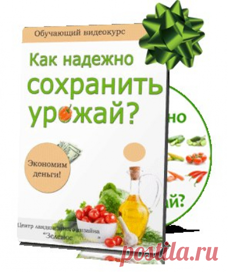 КАК СОЗДАТЬ САД СВОЕЙ МЕЧТЫ НАЧИНАЮЩИМ ДАЧНИКАМ?