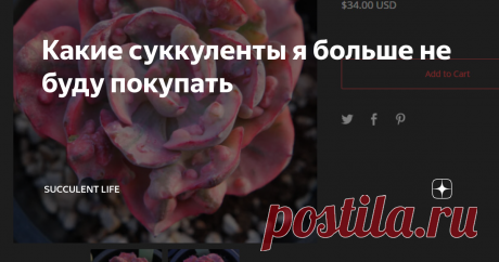 Какие суккуленты я больше не буду покупать Может быть я и куплю Echeveria Beyonce но точно не в этом сезоне когда...