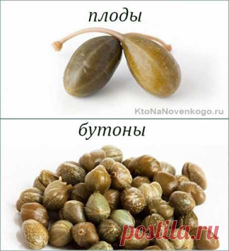 Каперсы — что это такое | KtoNaNovenkogo.ru