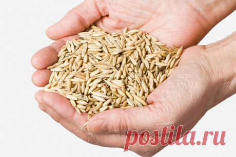 КОПЕЕЧНЫЙ ПРОДУКТ ДОЛГОЛЕТИЯ, КОТОРЫЙ МОНАХИ ИЗ ТИБЕТА ЕДЯТ КАЖДЫЙ ДЕНЬ! И ЖИВУТ ДО 100 ЛЕТ! — Домашние заботы