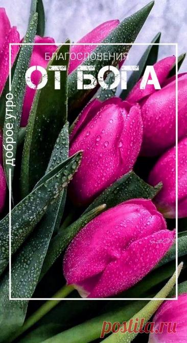 С добрым утром Привет Здрасте