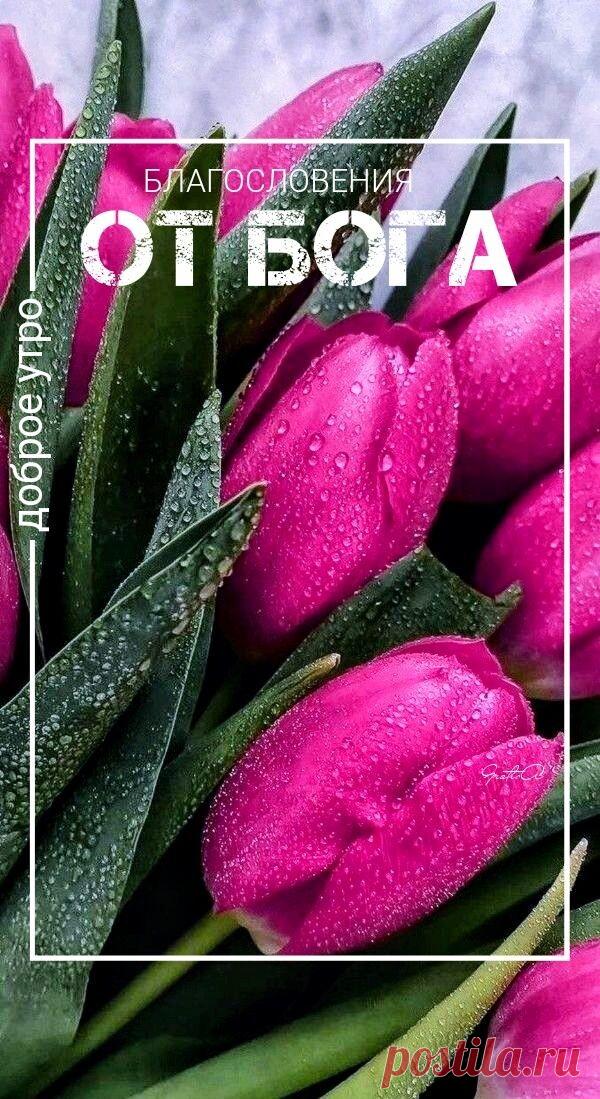 С добрым утром Привет Здрасте